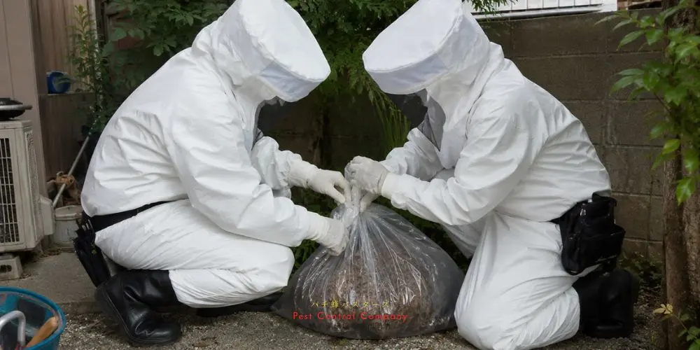 清瀬市の玄関軒下にできた大型の蜂の巣を撤去