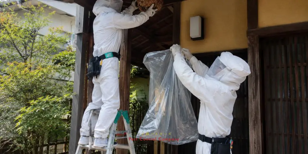小平市の住宅軒下にできた大型蜂の巣回収作業