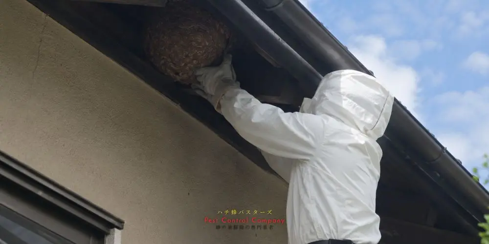 小平市の住宅軒下にできた蜂の巣撤去作業