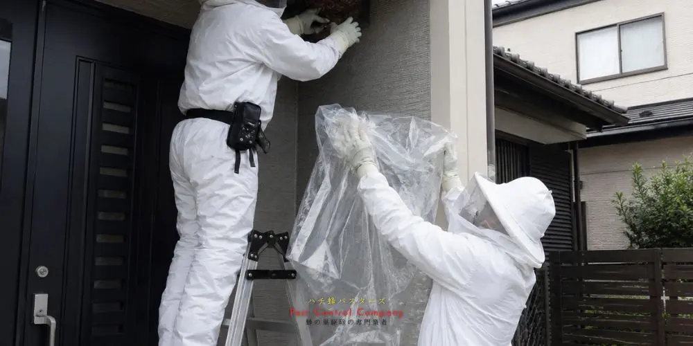 国分寺市の玄関まわりにできた蜂の巣を安全に回収