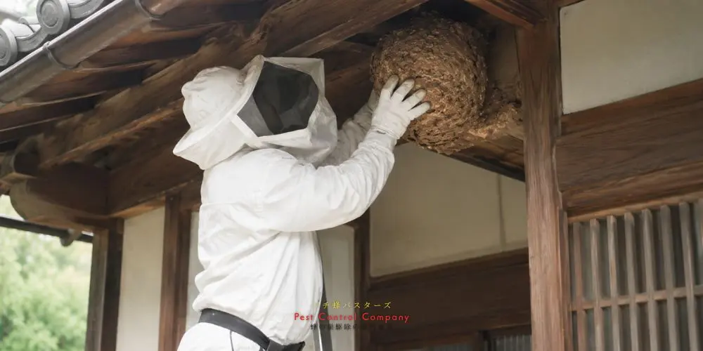 国立市の玄関軒下にできた大型の蜂の巣を回収する作業