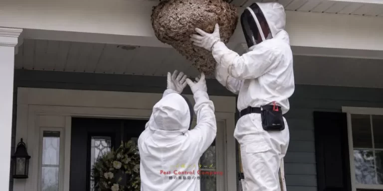 住宅軒下の高所にできた蜂の巣を駆除する作業