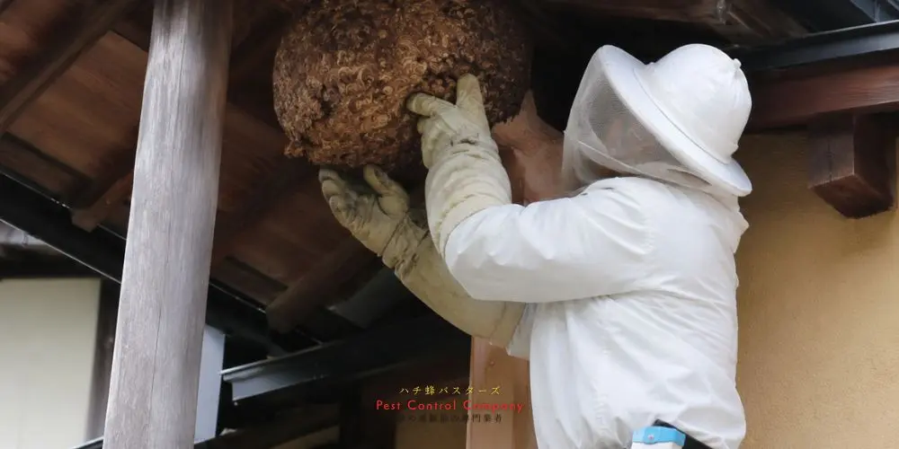 三鷹市の玄関まわりで行う蜂の巣駆除作業