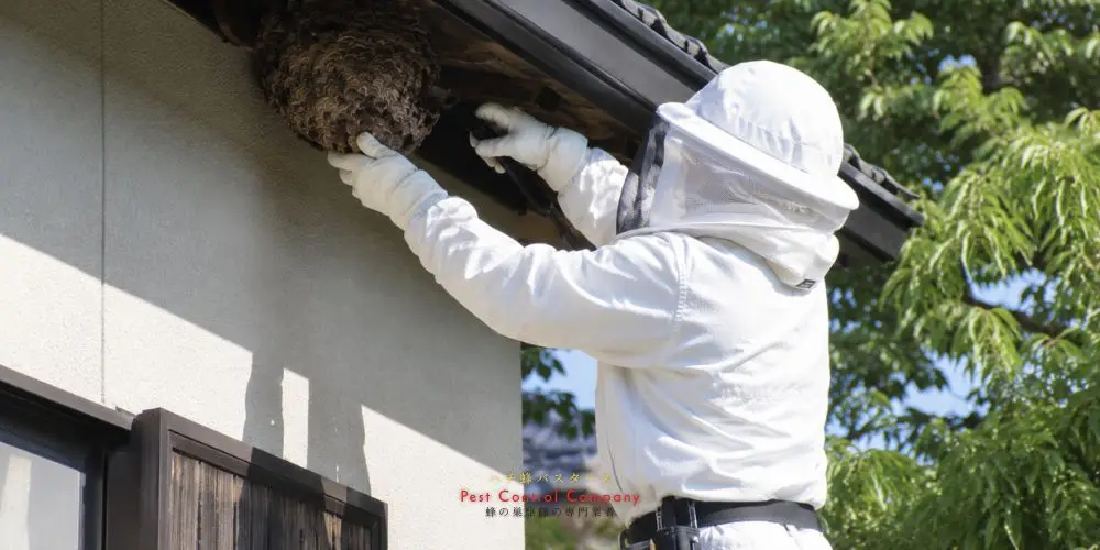 三鷹市の住宅で行う軒下の蜂の巣撤去作業