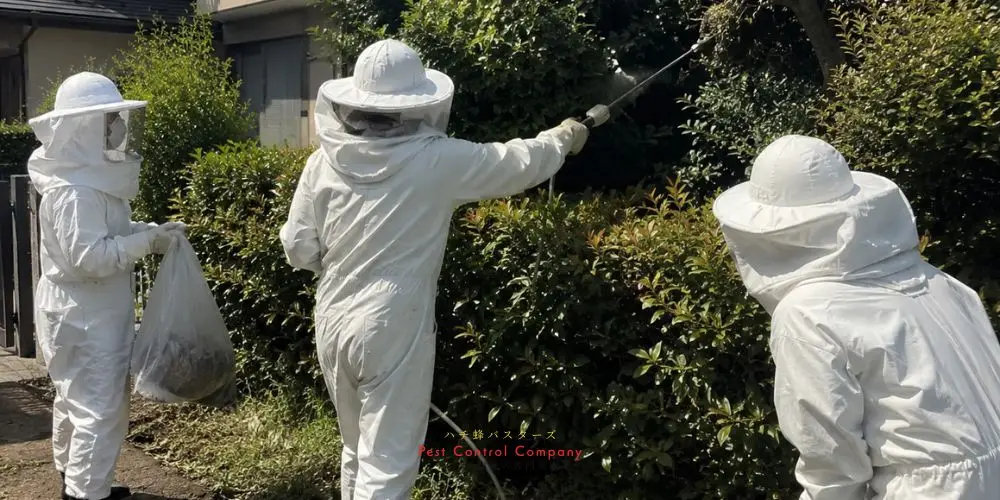 武蔵野市の庭木にできた大型蜂の巣撤去