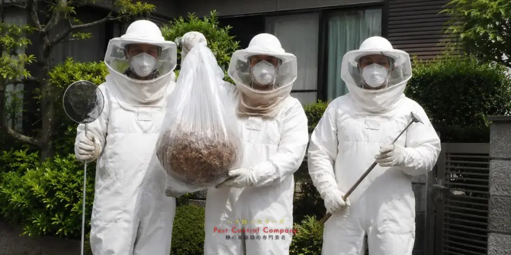 武蔵野市で撤去した大型蜂の巣