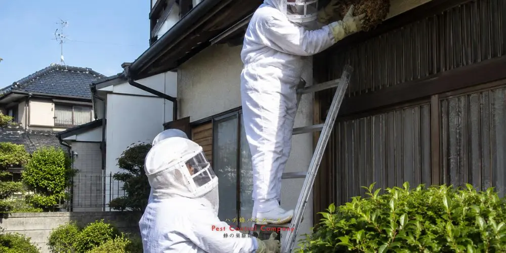 青梅市の軒下にできた大型蜂の巣駆除