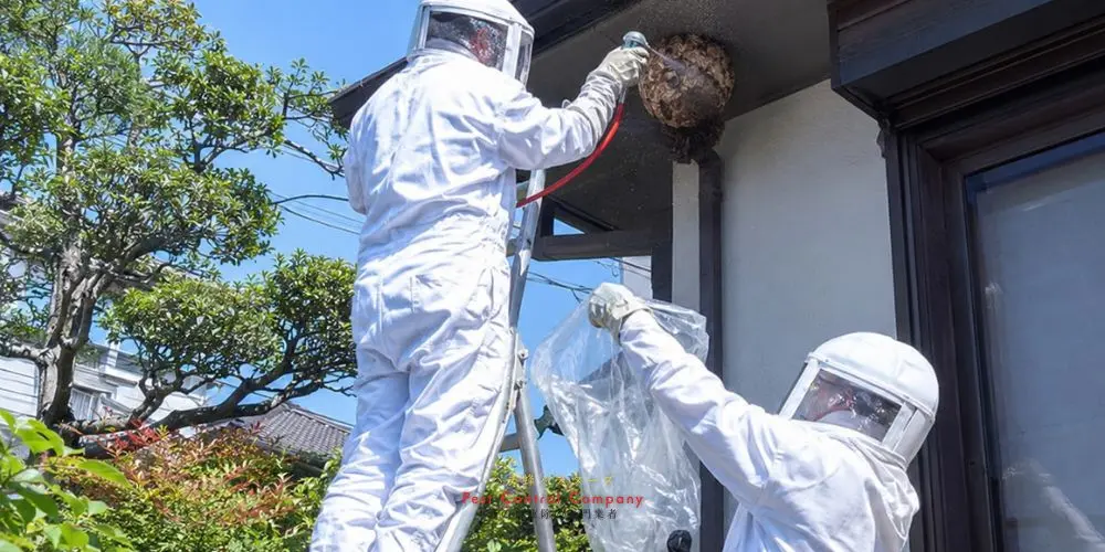 多摩市の軒下にできた蜂の巣へ薬剤を散布する作業